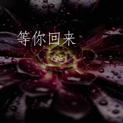 等你回来's cover