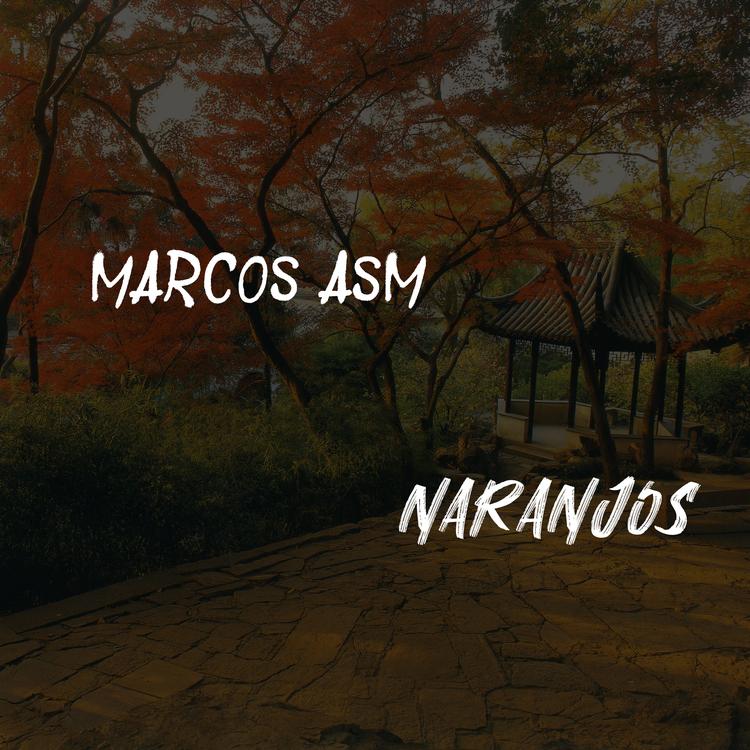 MARCOS ASM's avatar image