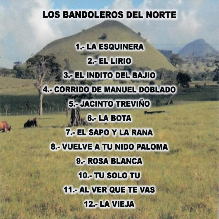 Los Bandoleros Del Norte's avatar image