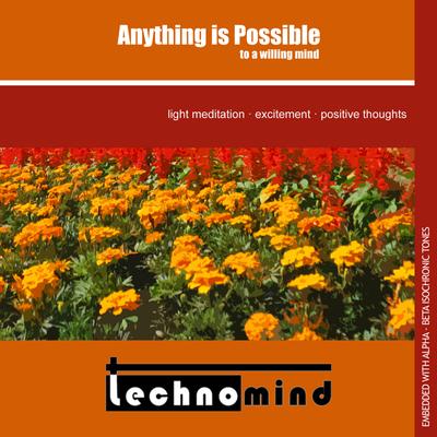 Anything Is Possible to a Willing Mind By Technomind's cover
