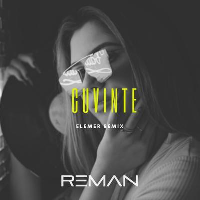 Cuvinte (Elemer Remix)'s cover