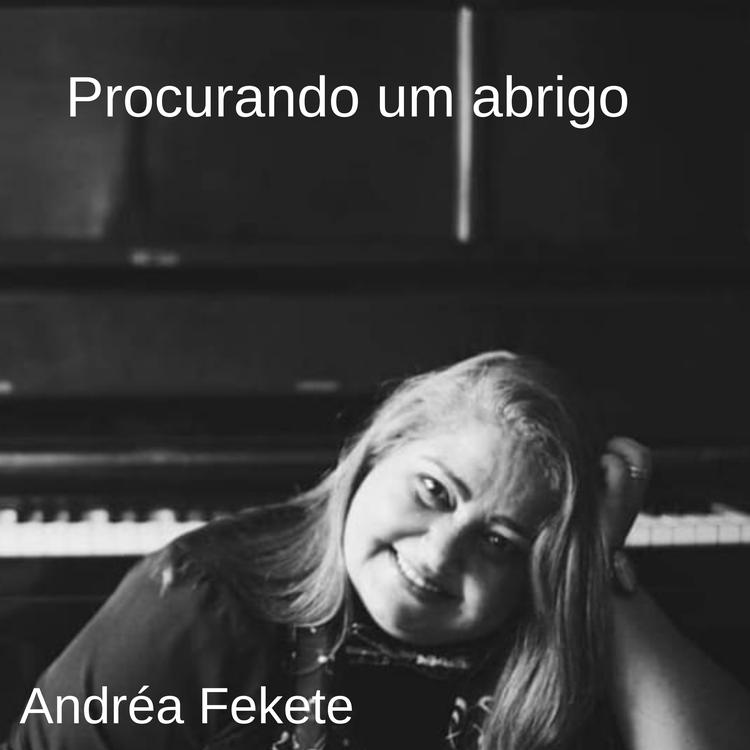 Andréa Fekete's avatar image