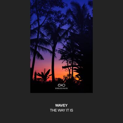 The Way It Is By Wavey's cover