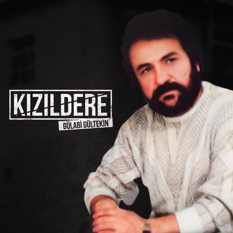 Gülabi Gültekin's avatar image