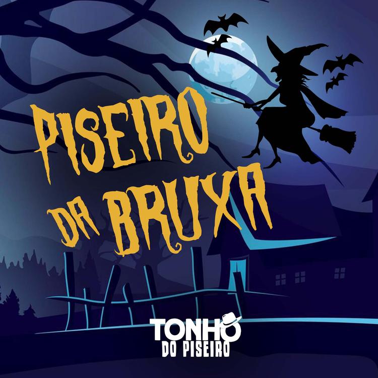 Tonho do Piseiro's avatar image