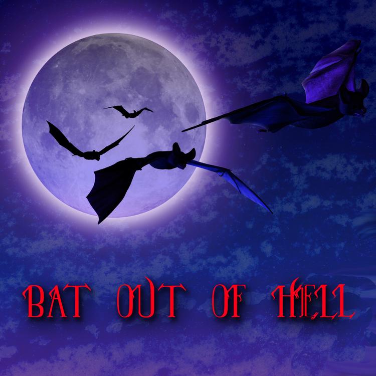 The Bats Of Hell's avatar image