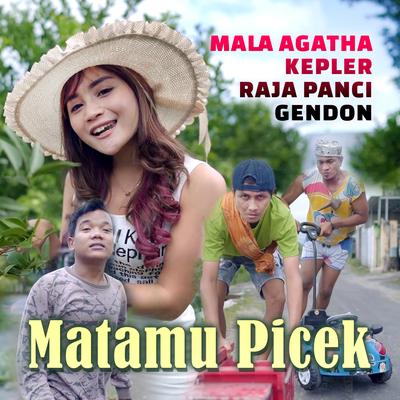 Matamu Picek's cover