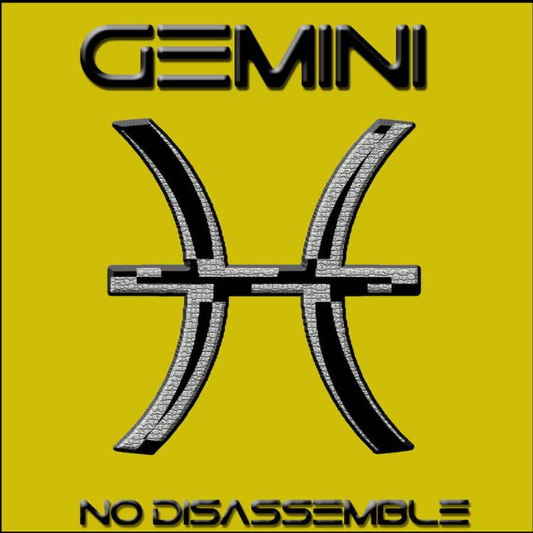 No Disassemble's avatar image