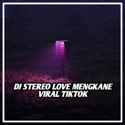 DJ Stereo Love Mengkane Viral Tiktok By DJ Karina's cover