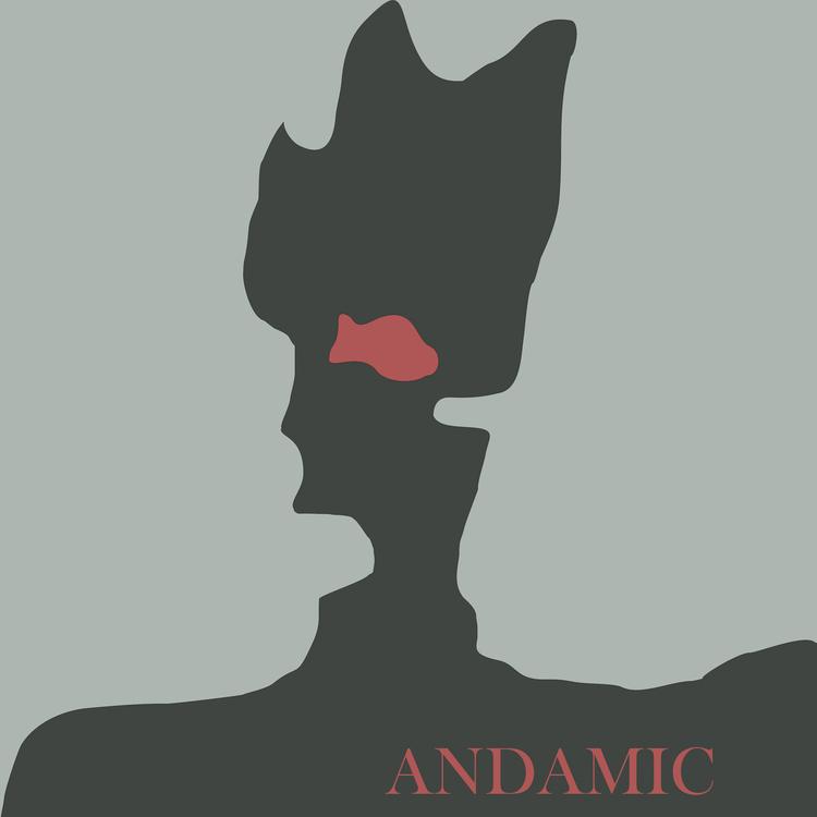 ANDAMIC's avatar image