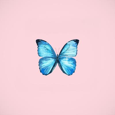 Butterfly By John Michael Howell's cover