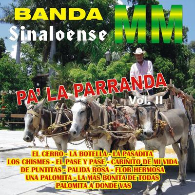 Pa' la Parranda, Vol. 2's cover