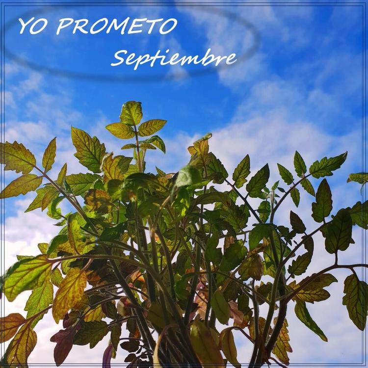 Septiembre's avatar image