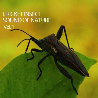 Cricket Insect Sound Of Nature Vol. 1's cover