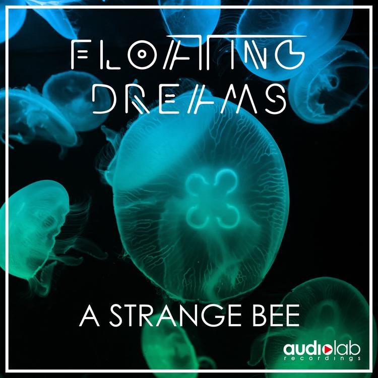 Floating Dreams's avatar image