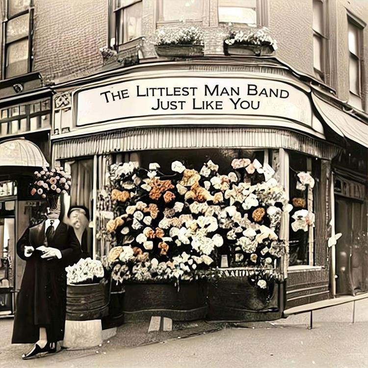 The Littlest Man Band's avatar image