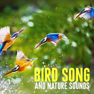 Bird Song and Nature Sounds's cover