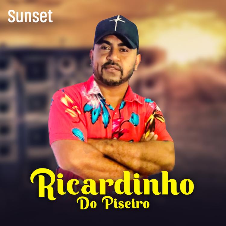 Ricardinho do Piseiro's avatar image