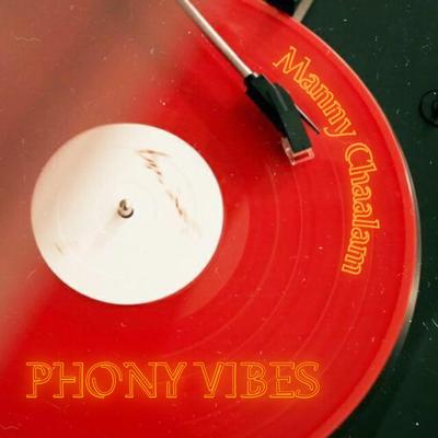 Phony Vibes's cover