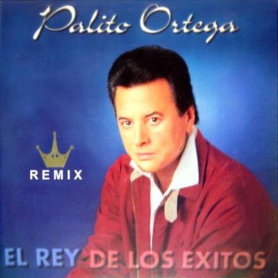 Voy Cantando  (Remix '97) By Palito Ortega's cover