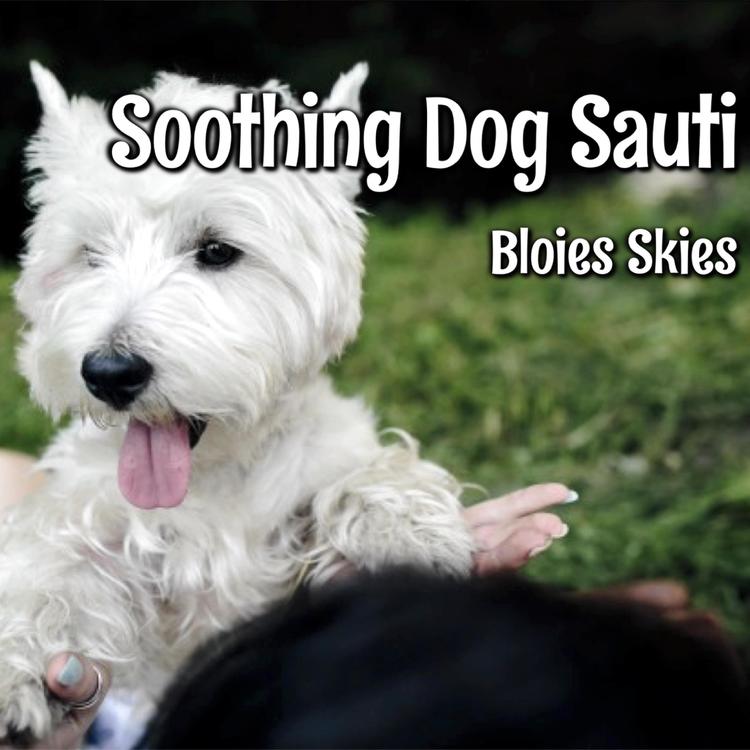 Soothing Dog Sounds's avatar image