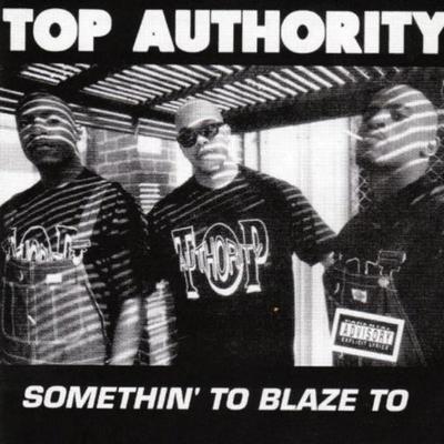 On the Level By Top Authority's cover