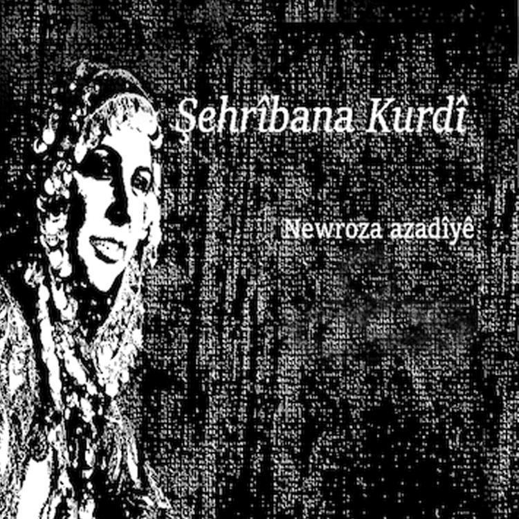 Şehribana Kurdi's avatar image