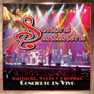 Perfume de Gardenias (feat. Lourdes Munguia & Orquesta de Cuerdas) [En Vivo]'s cover