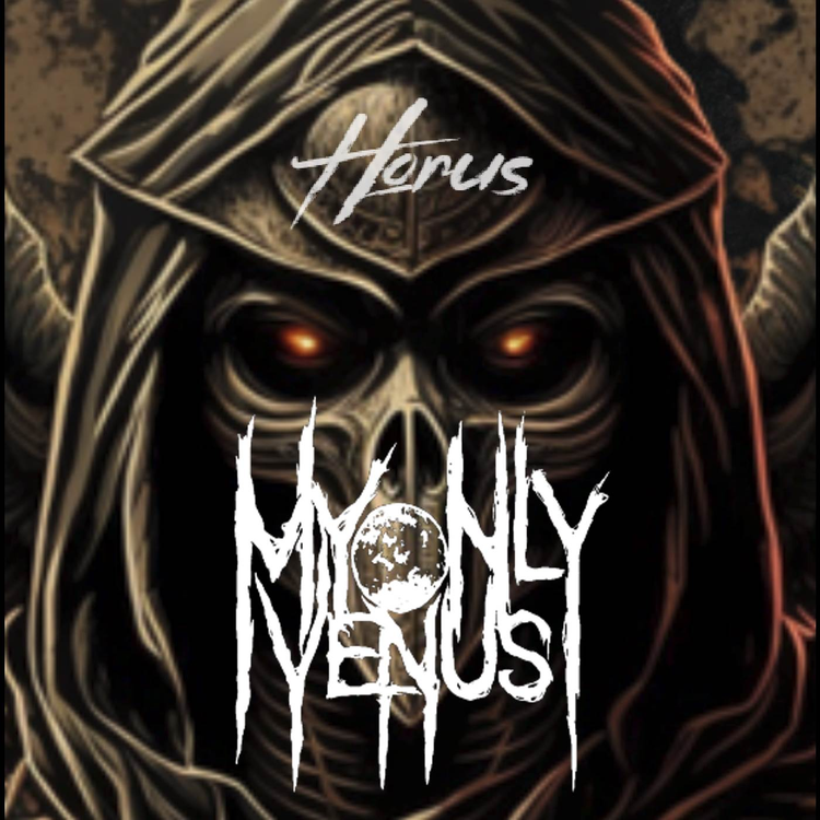 My Only Venus's avatar image