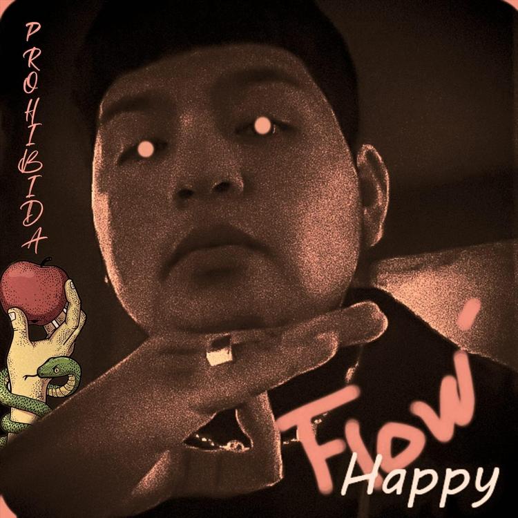 Happy Flow's avatar image