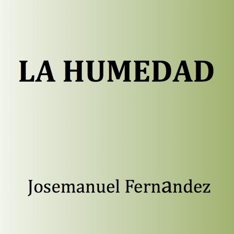 Josemanuel Fernandez's avatar image