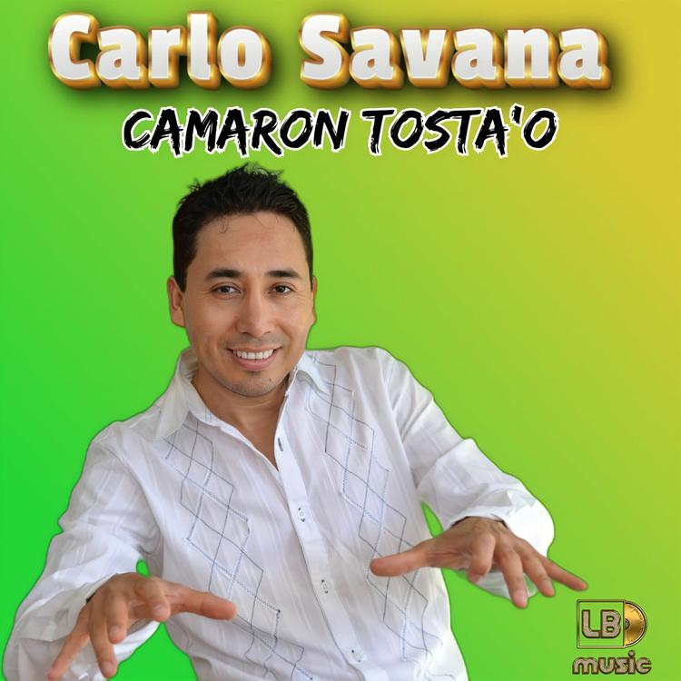 Carlo Savana's avatar image