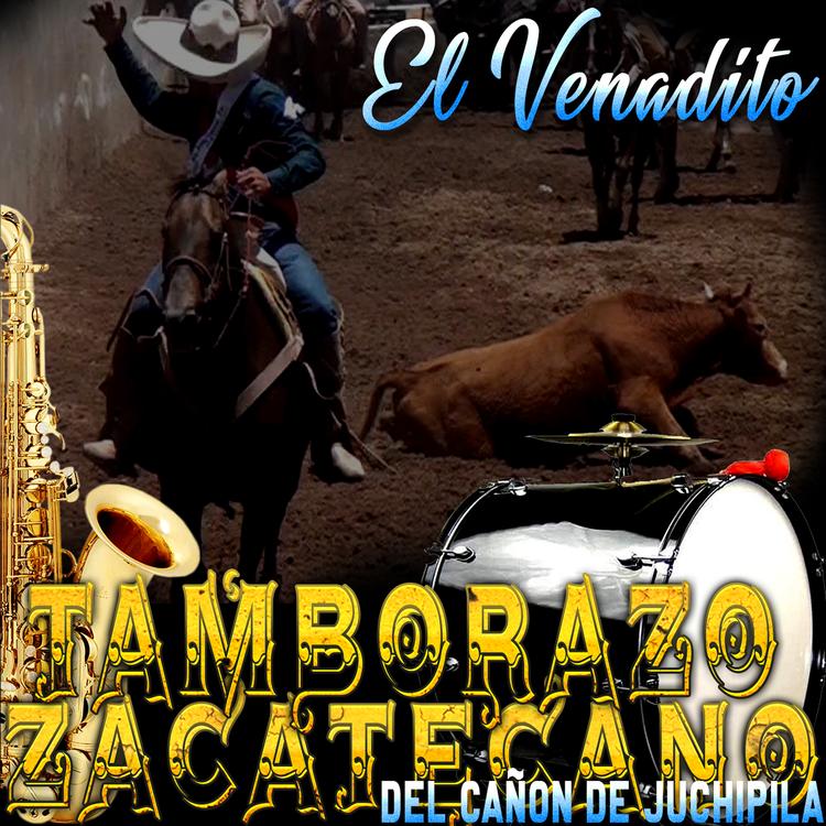 Tamborazo Zacatecano Del Cañon De Juchipila's avatar image
