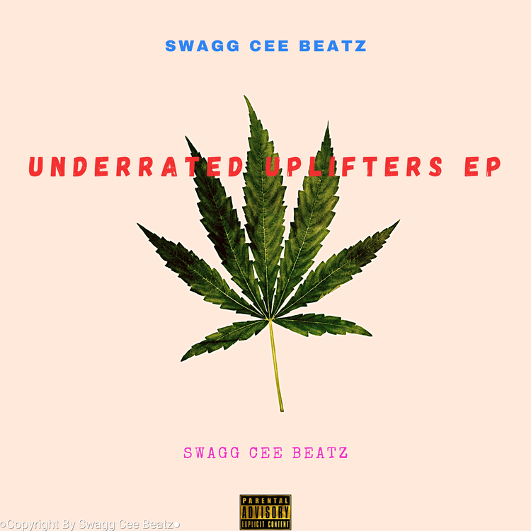 Swagg Cee Beatz's avatar image