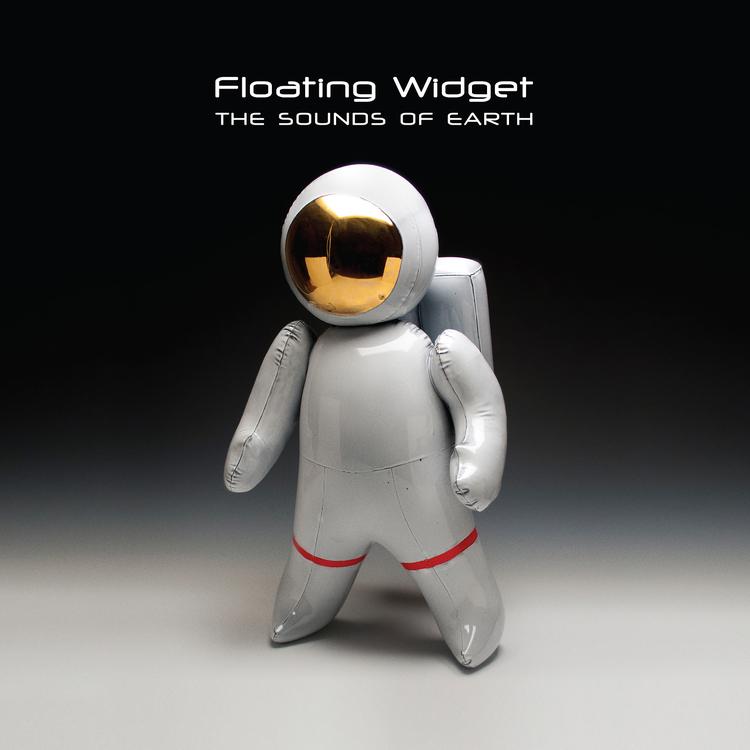 Floating Widget's avatar image