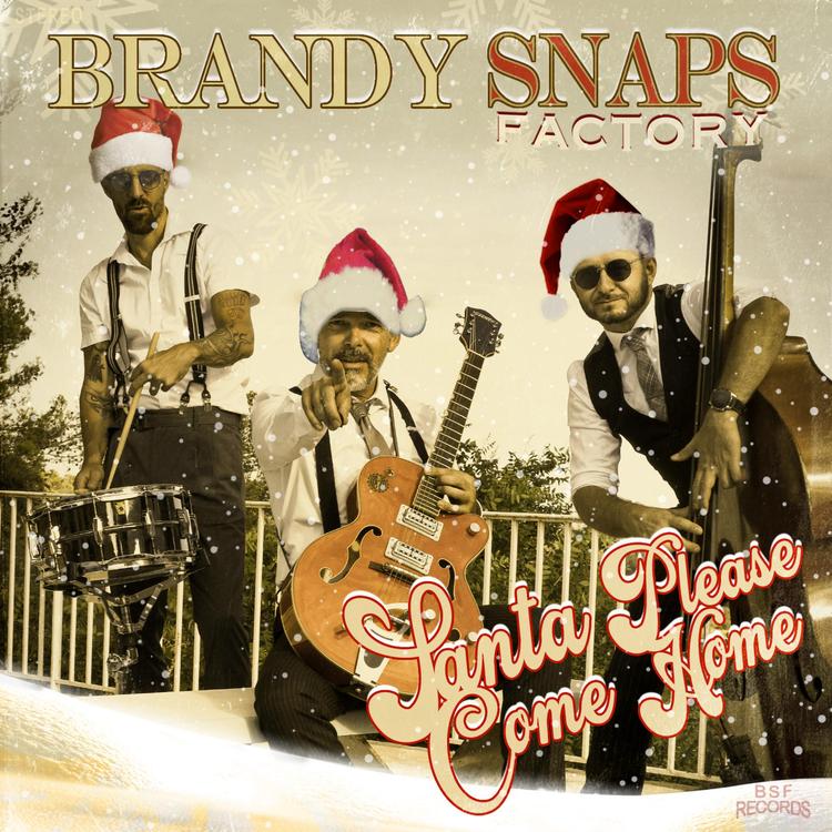 Brandy Snaps Factory's avatar image