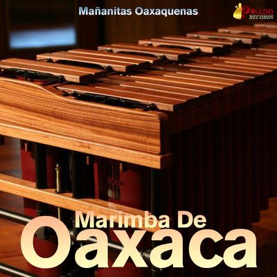 Mi Lindo Oaxaca By Marimba De Oaxaca's cover