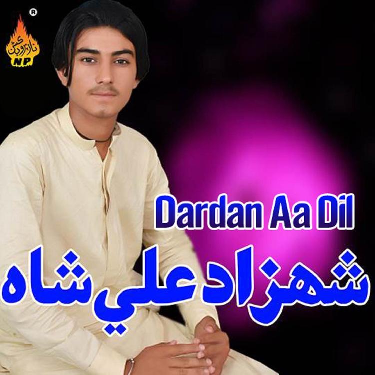 Shahzad Ali Shah's avatar image