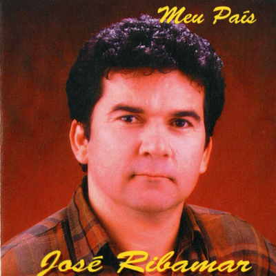 Eu e o Computador By José Ribamar's cover