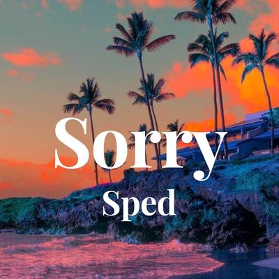 Sorry - Sped's cover