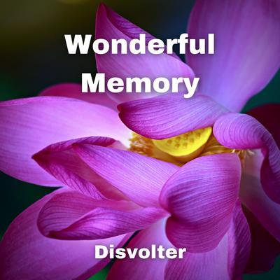 Wonderful Memory By Disvolter's cover