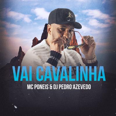 Vai Cavalinha's cover