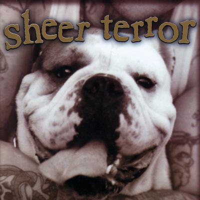 Here to Stay By Sheer Terror's cover