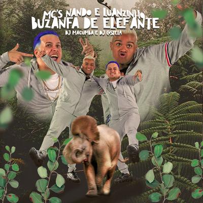 Buzanfa de Elefante By Mcs Nando e Luanzinho, DJ Macumba, DJ Costela's cover