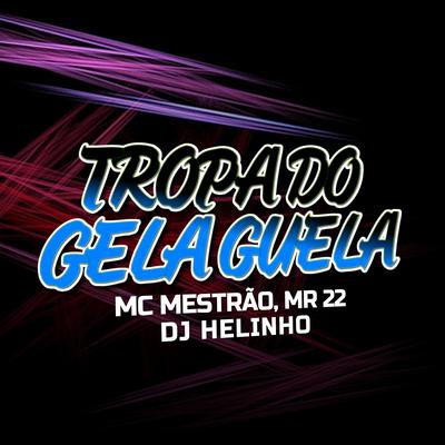 Tropa do Gela Guela By DJ Helinho, MC Mestrão, Mr 22's cover