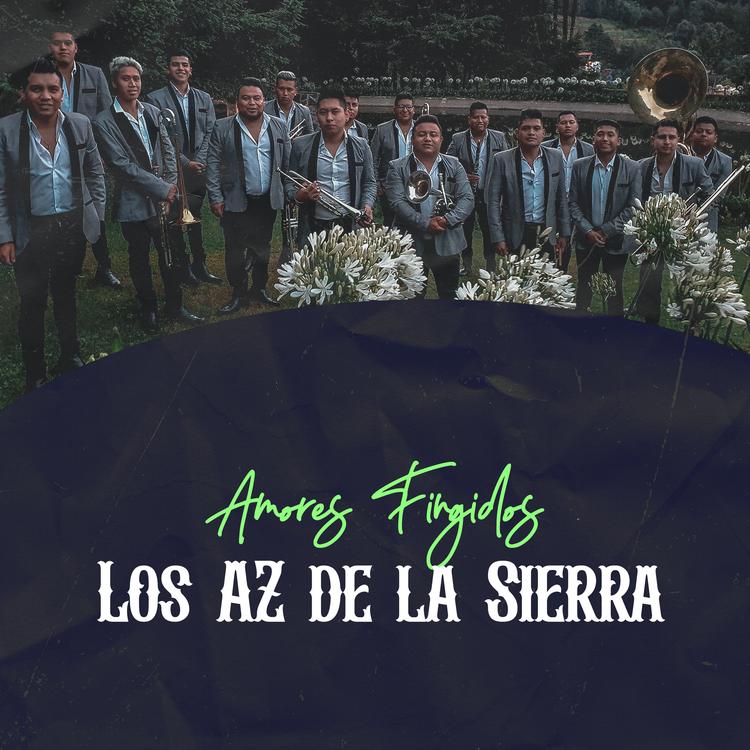 Los AZ de la Sierra's avatar image