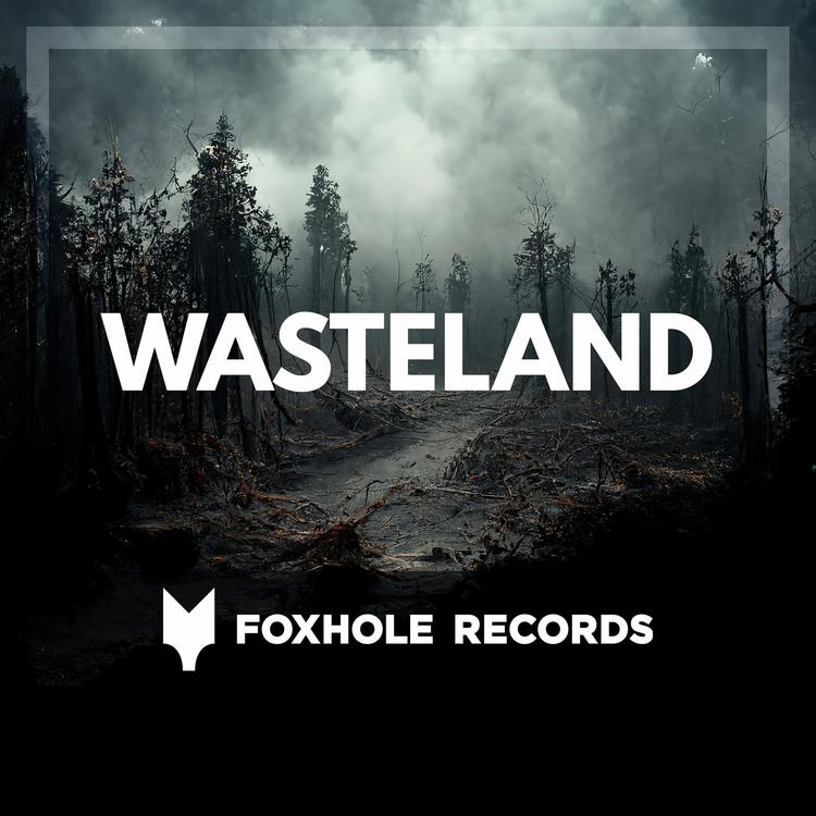 Foxhole Records's avatar image