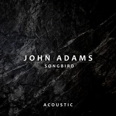 Songbird (Acoustic) By John Adams's cover