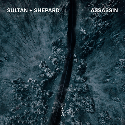 Assassin By Sultan + Shepard's cover