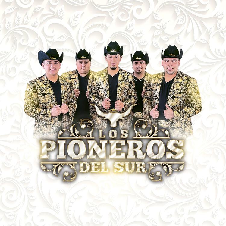 Los Pioneros Del Sur's avatar image